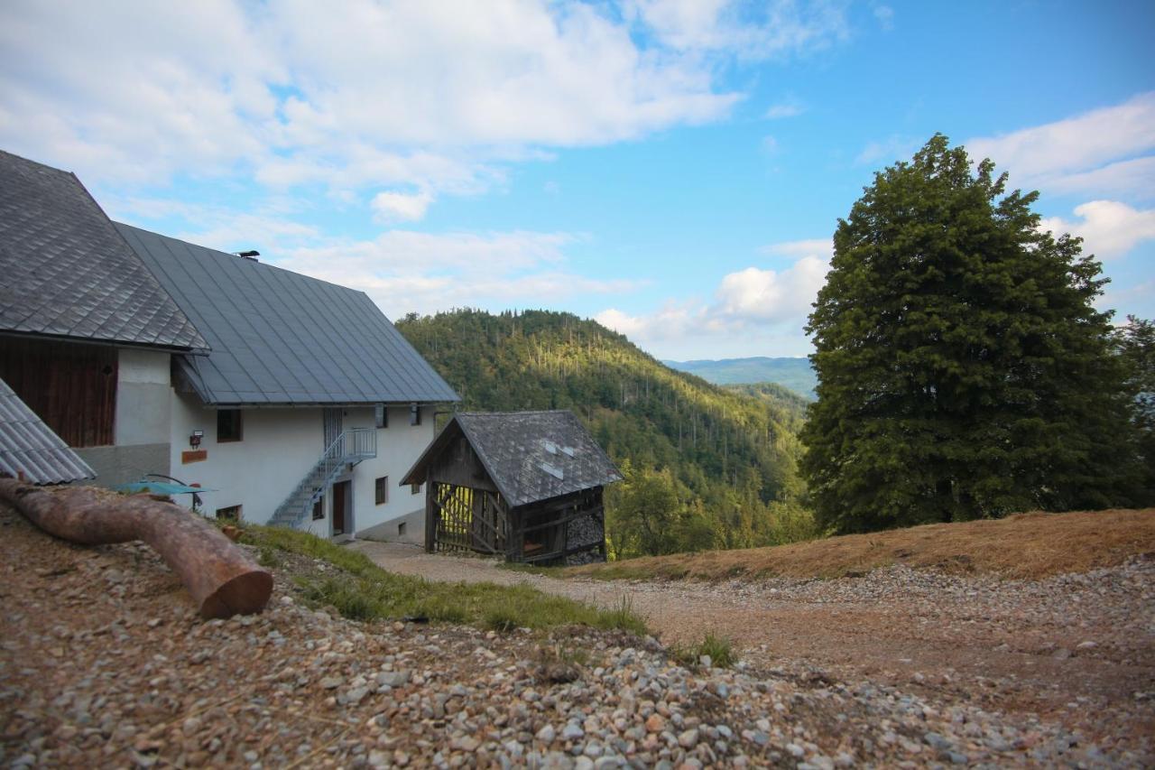 Apartma Gorski Razgled Srednja Vas v Bohinju Eksteriør billede