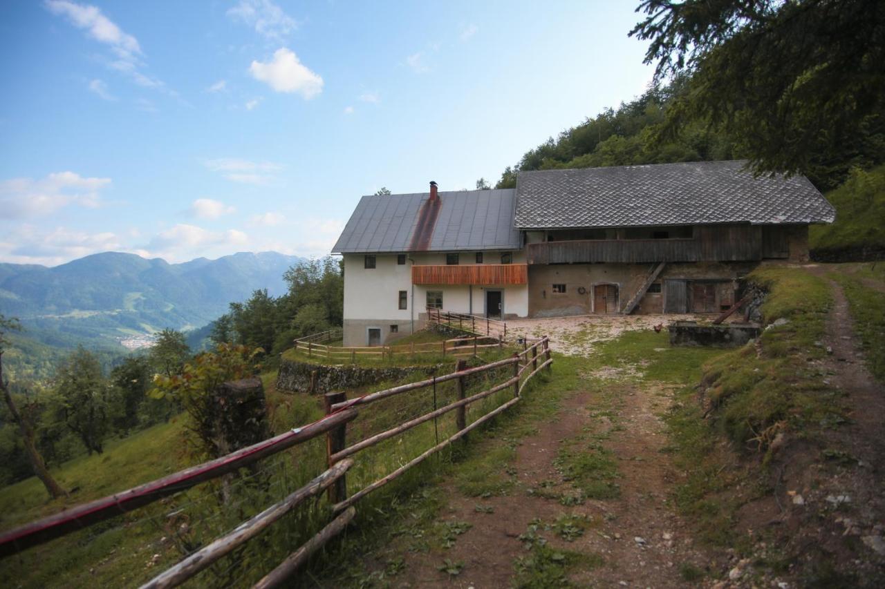Apartma Gorski Razgled Srednja Vas v Bohinju Eksteriør billede