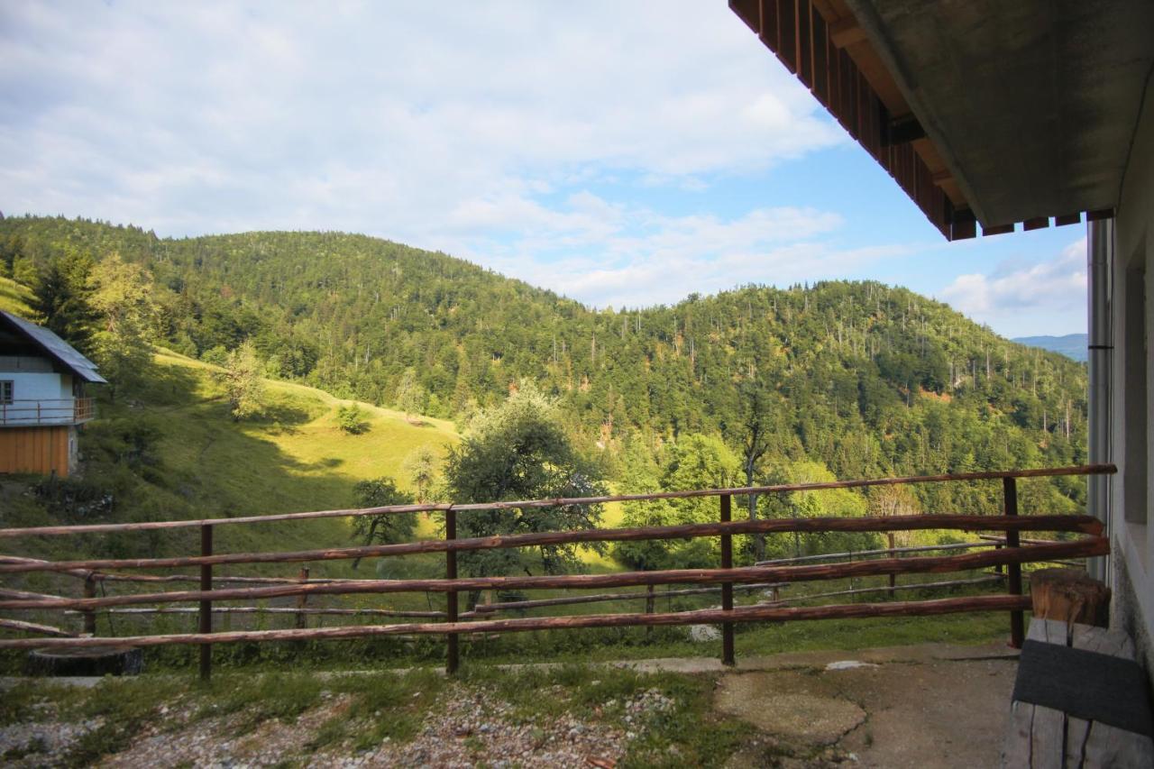 Apartma Gorski Razgled Srednja Vas v Bohinju Eksteriør billede